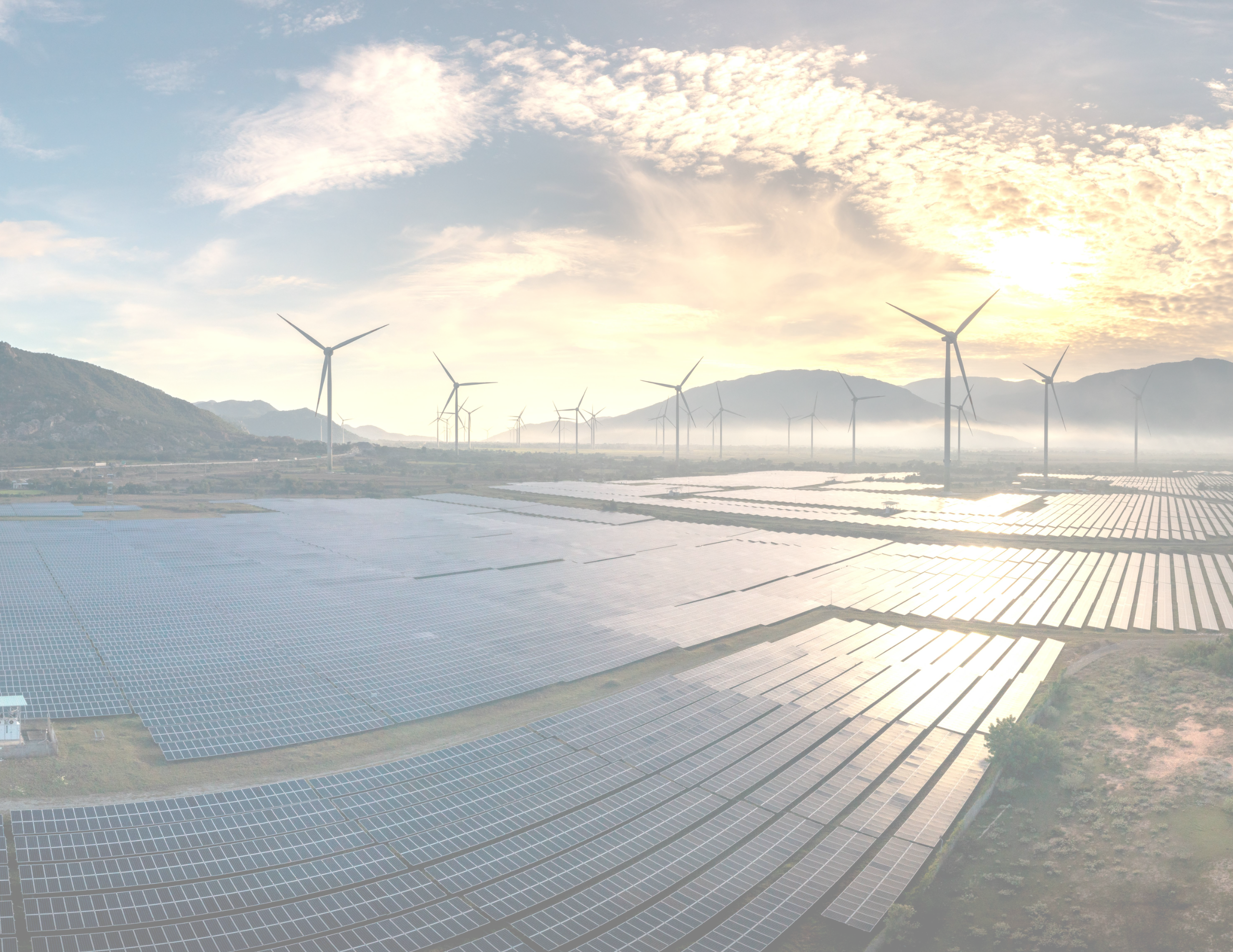 solar farm
